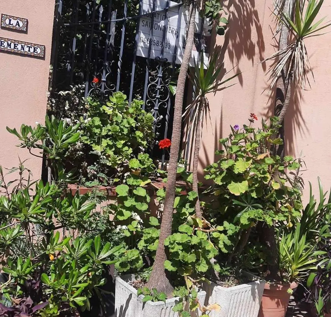 Les Violettes Apartment Menton